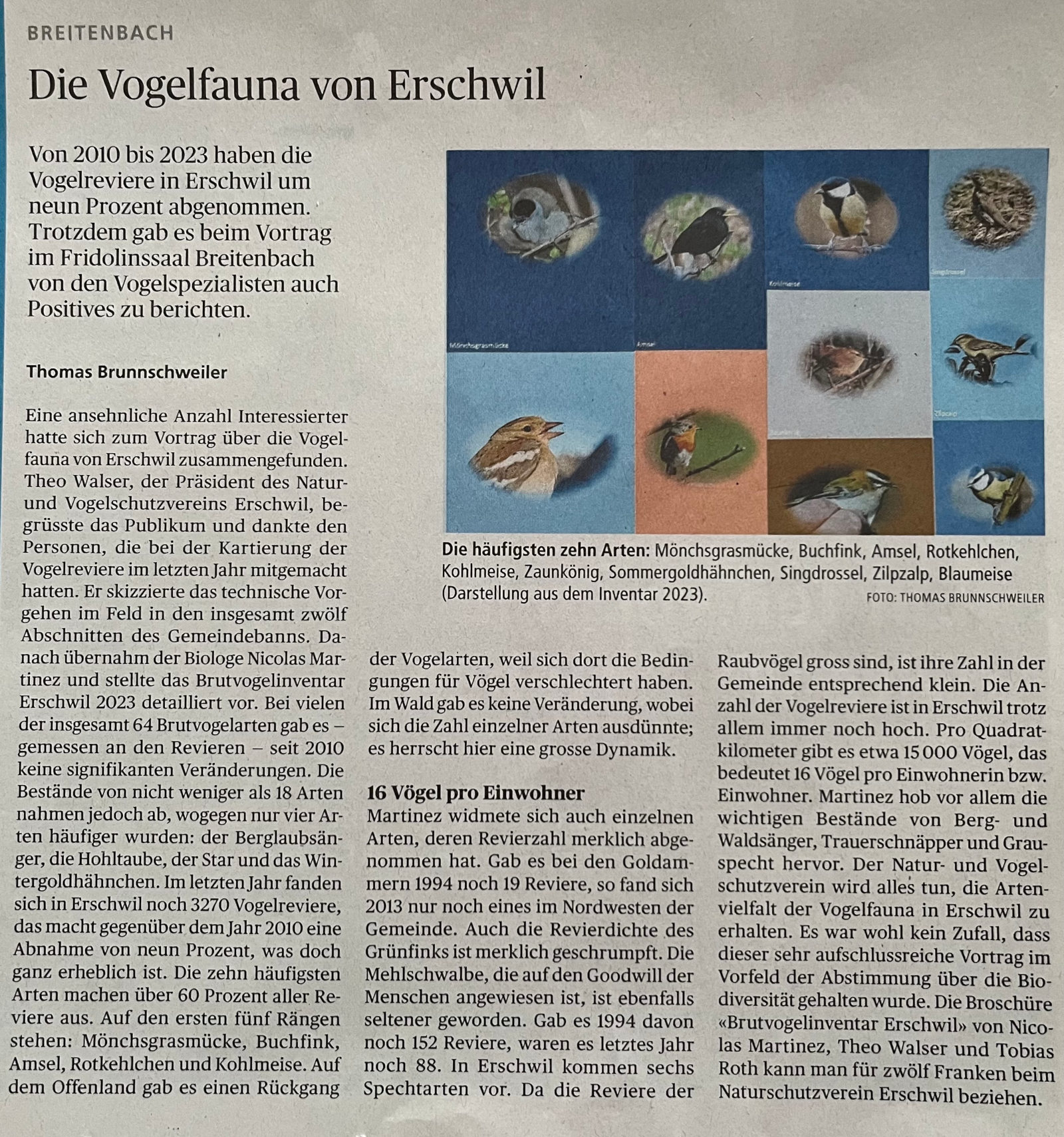 Bericht wochenblatt 2024 NVVE